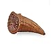 The Lucky Clover Trading 7006M Harvest Fern Cornucopia, Medium Basket, Brown
