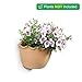 T4U Resin Wall Hanging Planter Apricot Small Set of 2, Wave Edge Pottery Style Plastic Flowers Pot for Home Office Garden Porch Wall Decoration Indoor Outdoor Best Giftthumb 4