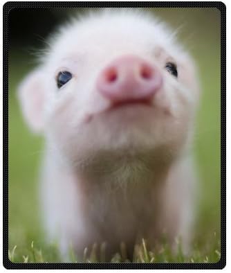 50"(W)x60"(L) (Medium) High Quality Pig Lovely Fleece Throw Blanket