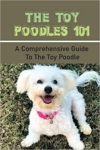 toy poodle 101
