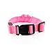 Safety Dog LED Collar Flashing Light up, Glow and bright (Ships From USA) (Small, Pink)