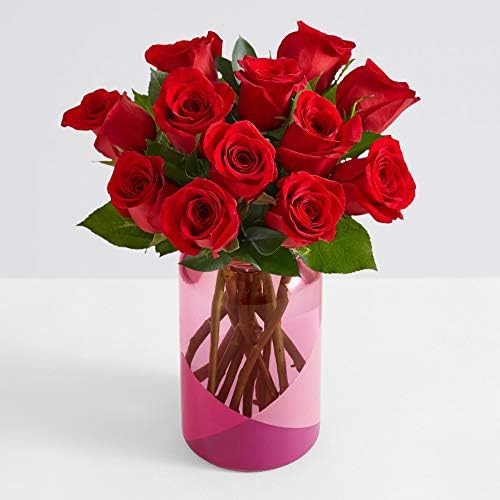 ProFlowers - red Roses One Dozen Red Roses with Pink Geo Vase - Flowers