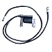 New Ignition Coil for Briggs & Stratton 401415 401417 421431 421417 392329 394891 394988 590781