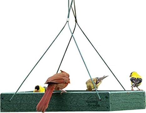 Amazon Com Audubon Going Green Platform Feeder Model Naggplat
