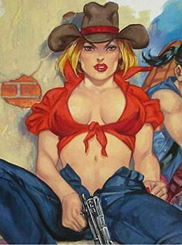 Cowgirl DIY 5D Diamond Portray Kits for Adults Full Drill Diamond Portray Stitching Artwork Crafts Attractive Cowgirl Girl Shooter Footage Kits for Adults for House Wall Decor for Reward Canvas40X50cm