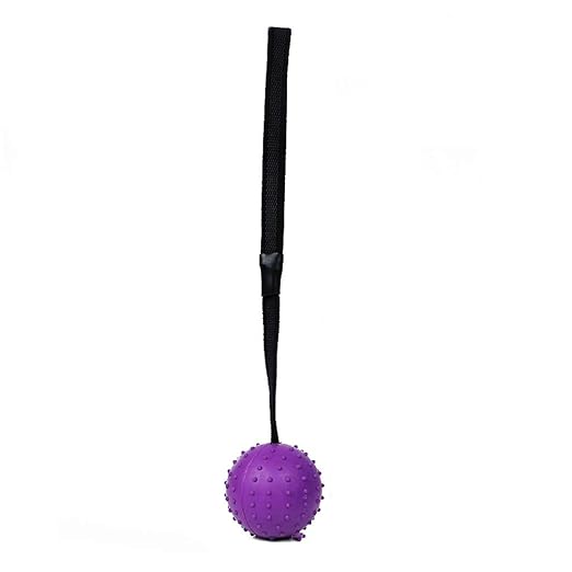 OHGQY Pelota For Mascotas, Juguete For Perros Resistente A Las ...