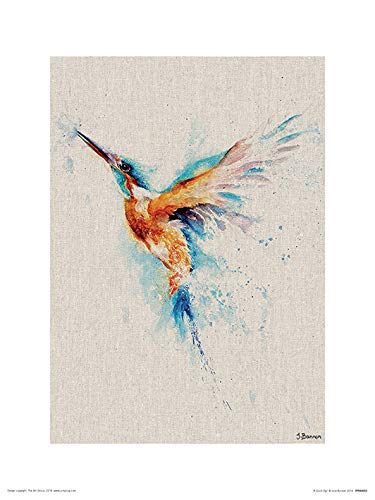 Jane Bannon (A Quick Dip 30 x 40cm Art Print