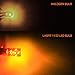 1157 2057 2357 7528 BAY15D LED Bulbs Polarity Free, Super Bright High Power LED Lights, Use for Turn Signal Lights, Amber (Pack of 2)