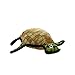 TUFFY Ocean Creature Turtle, Durable Dog Toy, Large