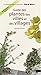 Guide des plantes des villes et des villages (Guides des fous de nature) (French Edition) by 