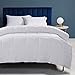 Besfor Down Alternative Queen Comforter White Hotel Collection Luxury Duvet Insert- All Season -Plush Microfiber Fill - Machine Washable -Stand Alone Comforter (White, Queen)
