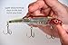 Liquid Mayhem Garlic Minnow Fish Attractant Gel 60ml (2oz) Tube – UV Enhanced, Real Bait, Amino Acids – for All Lure Types