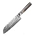 Bigsun Santoku Knife,Professional 7 Inch Forged High Carbon 67 Layers VG 10 Damascus Steel With Acrylic Resin&Pakka Wood Handle Santoku Knives