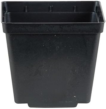 10 NEW BLACK 5" Kord Jumbo Square Pot ~ Pots are 5 3/8" W x 5 3/8" L x 6" H