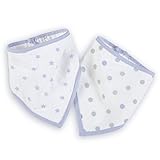 aden by aden + anais Bandana Bib, Dashing