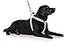 Dexil Limited Blind Dog White Color Coded Alert Warning L XL Non-Pull Dog Harness Prevents Accidents by Warning Others of Your Dog in Advance