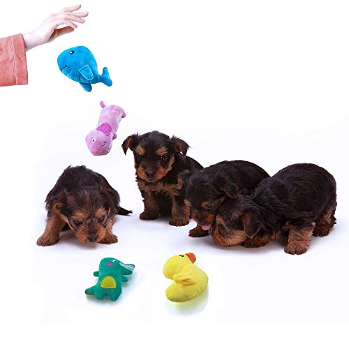 AWOOF 10 Pack Hundespielzeug Welpenspielzeug Hund Quietschspielzeug, Welpen Zahnen Spielzeug, Haustier Hund Plüsch… – Bild 5