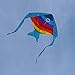 Hengda Kite Rainbow Fish Kite for Girls Boys Let Fish Swim in Sky Kite with 30m Line