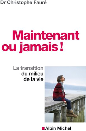 Download Maintenant ou jamais ! : La transition du milieu de la vie PDF