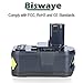 Biswaye 2 Pack 5000mAh 18V Replacement Lithium Ion Battery (Closed)
