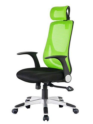 Merax New Office Mesh Lumbor Support Chair Office Chair Computer Gaming Chair Reclining Chair (High Back Mesh 1)