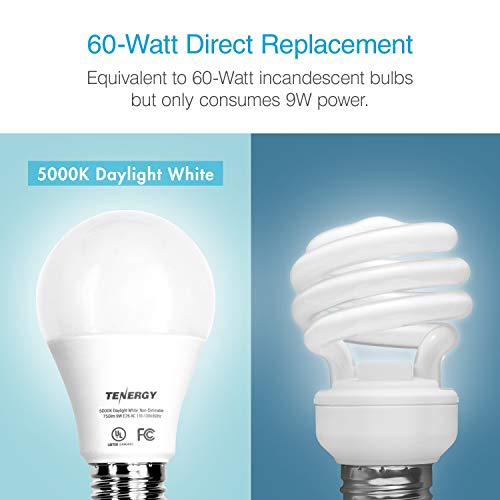 1 Tenergy+Equivalent+Standard+Daylight+White