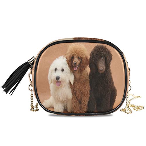 Three-Cute-Dogs-Women-Chain-Messenger-Bag-Crossbody-Purses-for-Girl