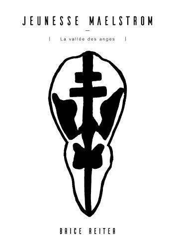 Jeunesse Maelstrom: La vallée des anges (French Edition) by Brice Reiter