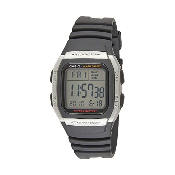 casio d031