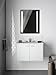 KOHLER K-99007-TL-NA Verdera 24 inch x 30 inch LED Lighted Bathroom Medicine Cabinet, Slow Close Hinge, Internal Magnifying Mirror; Aluminum; Recess or Surface Mount