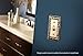 Franklin Brass Paisley (1-Pack) Decorative Light Switch Cover Tumbled Antique Brass 1-Gang Decorator/Rocker Wall Plate Electrical Outlet Guard 64047