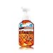 Bath & Body Works Gentle Foaming Hand Soap Sweet Cinnamon Pumpkin -
8.75 oz.