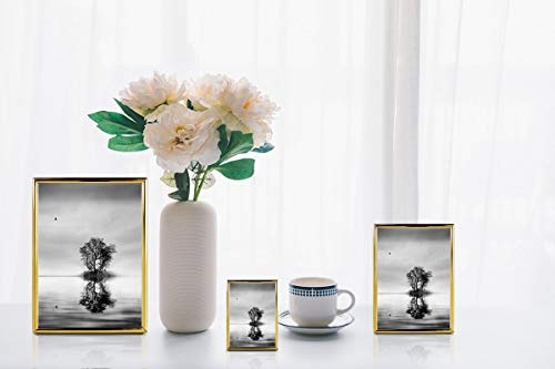 decanit Gold Metal Thin Edge 6x8 Picture Frames, Gold Thin Profile Photo Frame 6 by 8 Inch,Wall Mount or Tabletop
