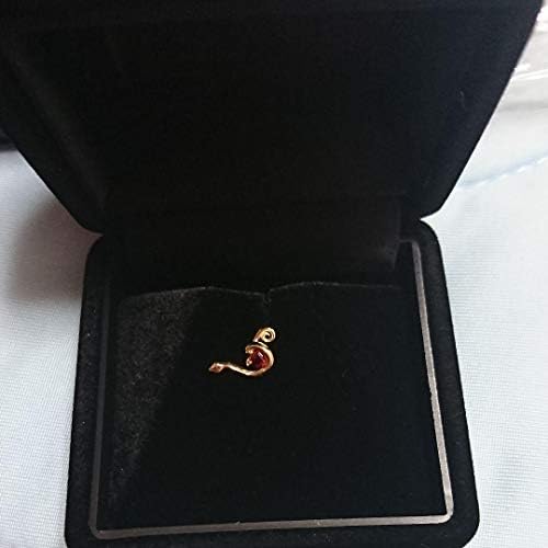 Hyde リリス ピアス Clorela Com Mx