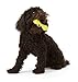 WEST PAW Zogoflex Hurley Dog Bone Chew Toy – Floatable Pet Toys for Aggressive Chewers, Catch, Fetch – Bright-Colored Bones for Dogs – Recyclable, Dishwasher-Safe, Non-Toxic, Small, Aqua