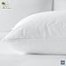 Sobel Westex Sahara Nights Queen Size Bed Pillow | Stomach & Back Sleeper Pillow for Adults | 233TC, 100% Cotton Case, Gel Fiber Fill | Soft, Machine Washable Hotel Quality Pillow for Sleeping | 20X30