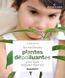 les meilleures plantes dépolluantes pour bien respirer chez soi by