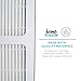 Idylis Part # IAF-H-100B for Idylis IAP-10-125 and IAP-10-150 Models, Comparable B HEPA Air Purifier Filter. A Home Revolution Brand Quality Aftermarket Replacement 2PK
