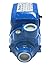 BRUFER Electric Centrifugal Clear Water Pump, 0.5 HP | Pools, Ponds, Irrigation, Garden, Sprinkling