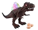 Voko USA Toy Dinosaur Spinosaurus Egg Laying Battery Walking Dinosaur 11
