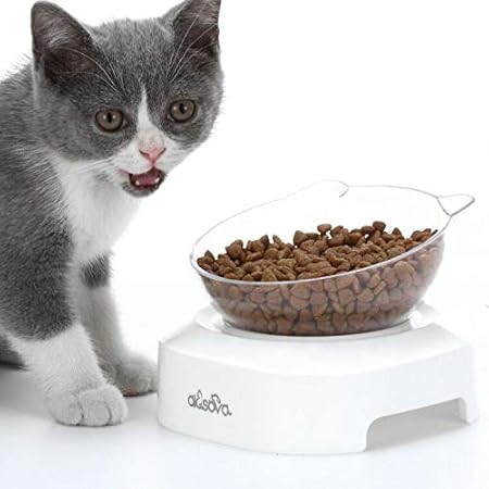 no bowl cat feeder amazon