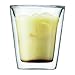 Bodum Canteen Double WallTumbler/DOF Glass, Set of 2