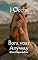 Livro Bora voar: Anyway