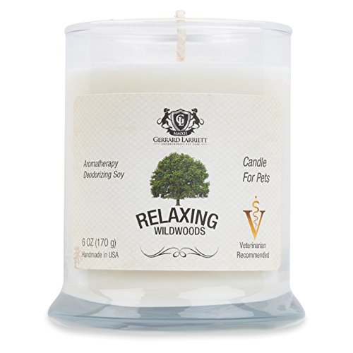 Wildwoods (Cedarwood & Vanilla) Aromatherapy Deodorizing Soy Candle For Pets, Candles Scented, Pet Odor Eliminator & Animal Lover Gift - 6 OZ (170 g)