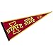 Iowa State Cyclones Pennant Full Size Felt