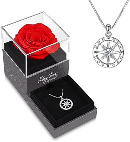 Compass Necklace 