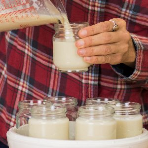 3 Cultures+Health+Starter+delicious+nutrient+dense