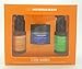 Ole Henriksen LOVE THE 3 LITTLE WONDERS Skincare Essentials Set – Truth Serum, Sheer Transformation & Invigorating Night Treatment