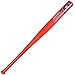 Houston Astros Orange Mini Baseball Bat 18