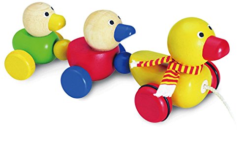 Wonderworld Duck Family Wooden Pull-Along Toy